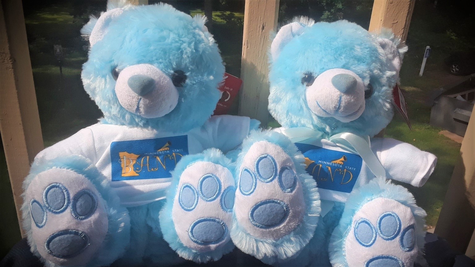 120th anniversary bears